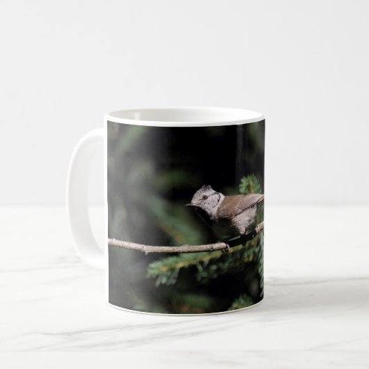 Lophanes cristatus kaffeetasse (Vorderseite Links)