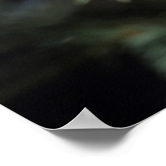 Lophanes cristatus poster (Ecke)