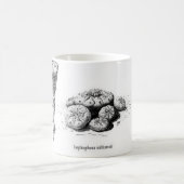 Lophophora williamsii Entwurf Kaffeetasse (Mittel)