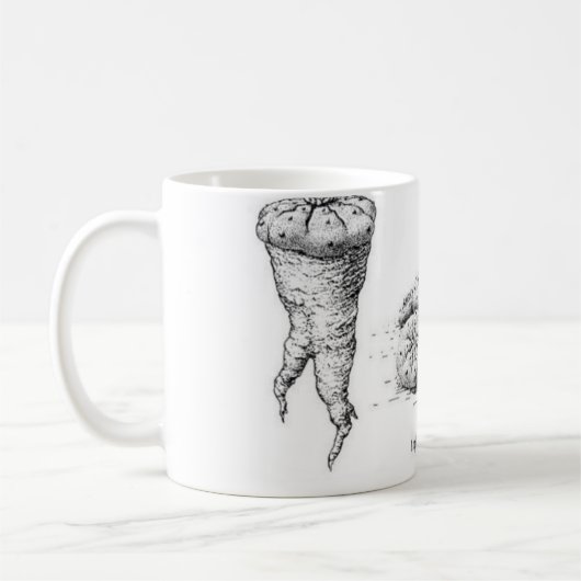 Lophophora williamsii Entwurf Kaffeetasse (Links)