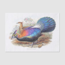 Lophorus L'Huysi, Nature Wildlife Decoupage Seidenpapier
