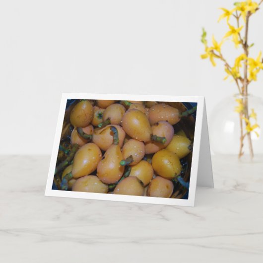 Loquat Fruit Karte (Gelbe Blume)