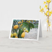 Loquat tree Portrait Karte (Gelbe Blume)