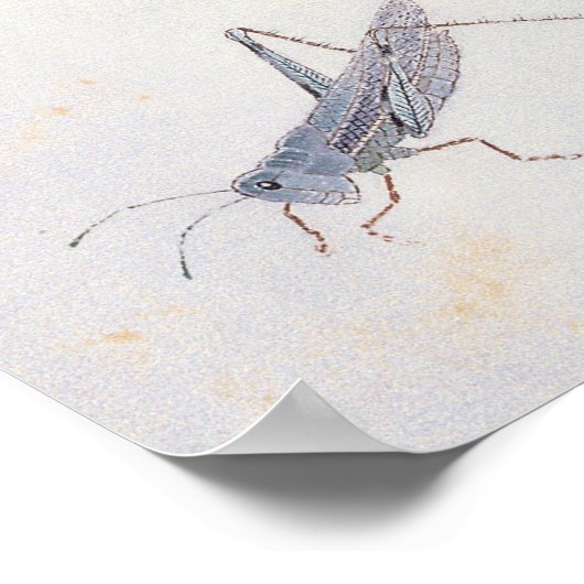 Loquets und ein Grasshopper-Poster Poster (Ecke)