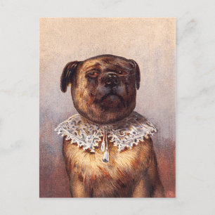 Lord Canine Postcard Postkarte