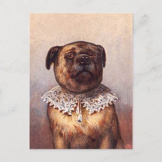 Lord Canine Postkarte (Vorderseite)