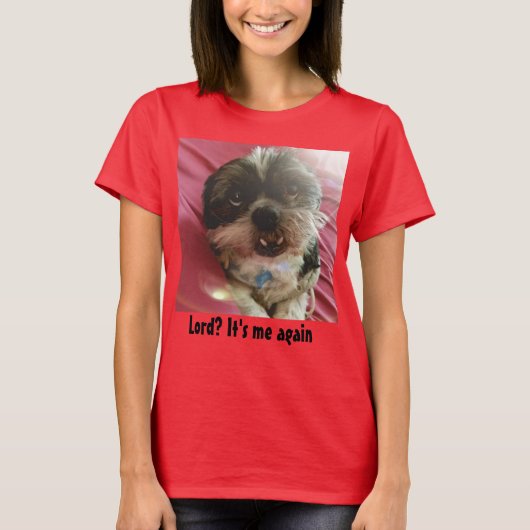 Lord? Er ist ich wieder Shih Tzu Meme T-Shirt (Vorderseite)