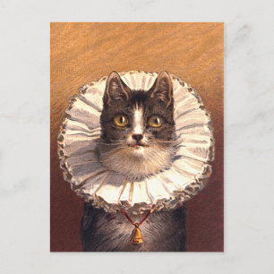 Lord Feline Postcard Postkarte