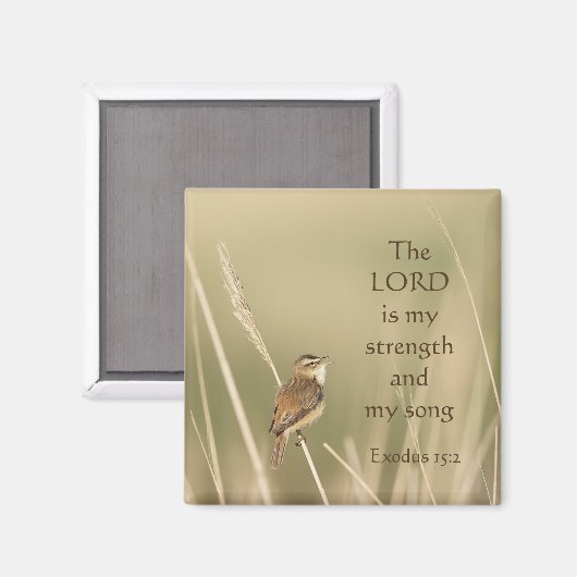 Lord is my Strength & Song Scripting Song Bird Magnet (Vorderseite/Rückseite)