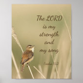 Lord is my Strength & Song Scripting Song Bird Poster (Vorne)