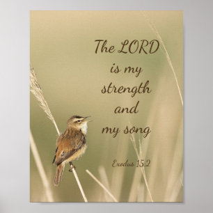 Lord is my Strength & Song Scripting Song Bird Poster