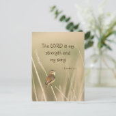 Lord is my Strength & Song Scripting Song Bird Postkarte (Stehend Vorderseite)
