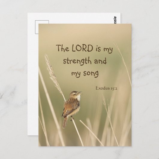 Lord is my Strength & Song Scripting Song Bird Postkarte (Vorne/Hinten)