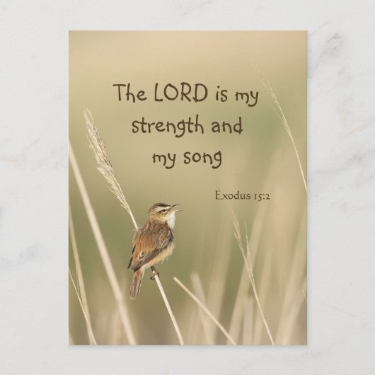 Lord is my Strength & Song Scripting Song Bird Postkarte (Vorderseite)