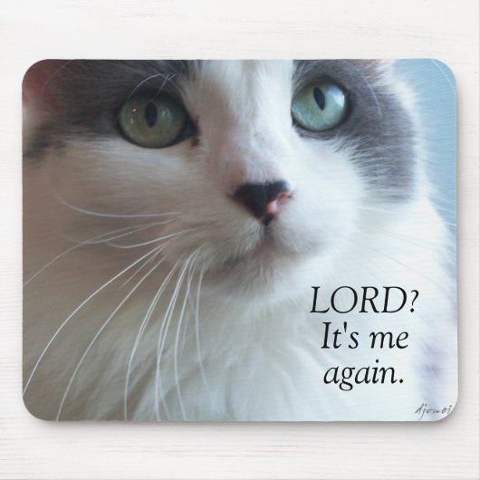 Lord, ist es ich wieder betende Katze Meme Mousepad (Vorne)