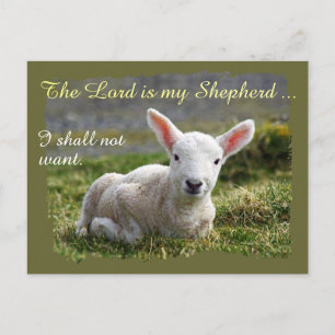 Lord ist mein Hirte Little White Lamb Blank Postkarte
