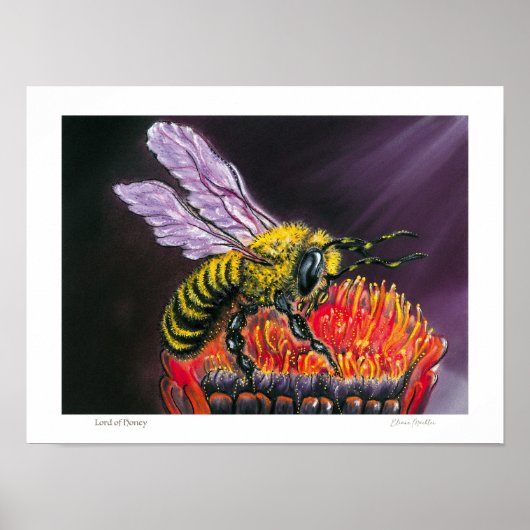 Lord of Honey - Poster (Vorne)