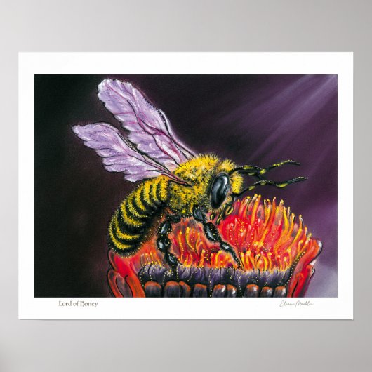 Lord of Honey Poster (Vorne)