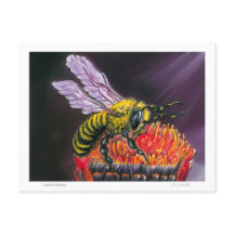 Lord of Honey