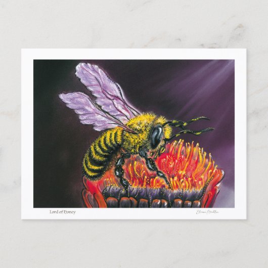 Lord of Honey Postkarte (Vorderseite)