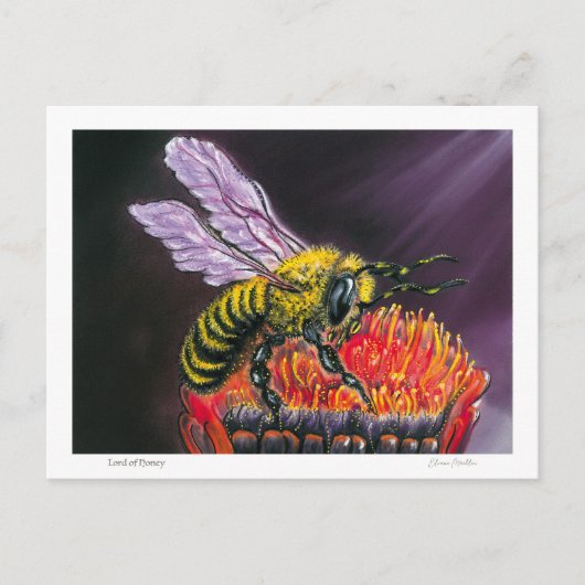 Lord of Honey Postkarte (Vorderseite)