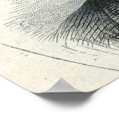 Lord Stanley nach einem Foto Poster (Ecke)