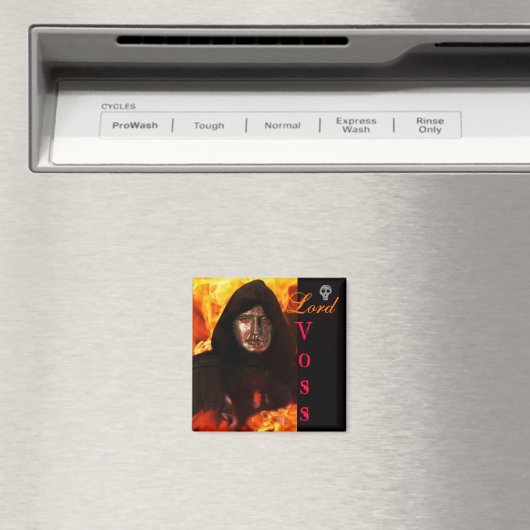 LORD VOSS-Magnet Magnet (In Situ (Geschirrspüler))