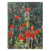 Lords und Ladys Italian Arum Floral Notizblock (Vorderseite)