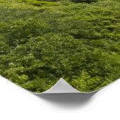 Loreley Poster (Ecke)