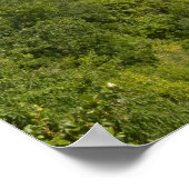 Loreley Poster (Ecke)