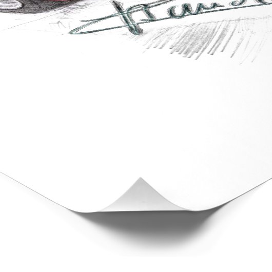 Lorenzo Bandini Poster (Ecke)