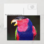 Lori Postkarte (Vorne/Hinten)