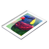 Lorikeet#1-Notebook Notizblock (Linke Seite)