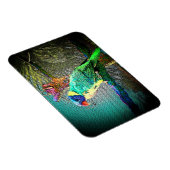 Lorikeet Bird Magnet-Design 2 Magnet (Rechte Seite)