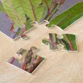 Lorikeet Bird Perched Parrot Animal Feathers Puzzle (Seite)