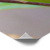 Lorikeet Bird Poster (Ecke)