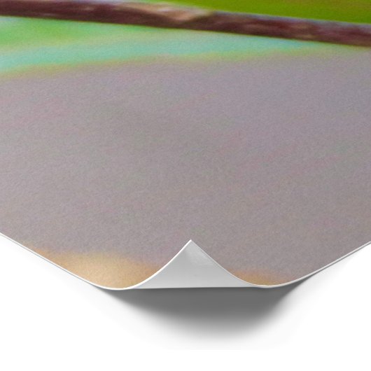 Lorikeet Bird Poster (Ecke)