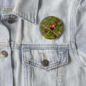 Lorikeet Button (Beispiel)