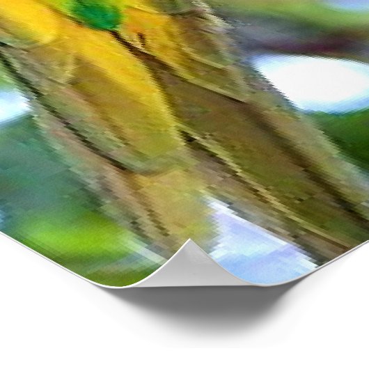Lorikeet, farbiger Vogel Poster (Ecke)