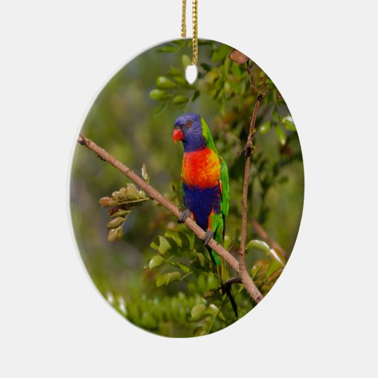 Lorikeet Keramik Ornament (Rechts)