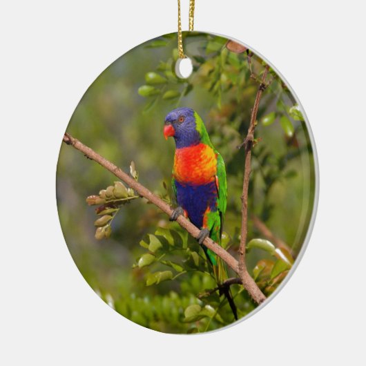 Lorikeet Keramik Ornament (Links)