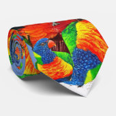 Lorikeet Men-Krawatte Krawatte (Gerollt)