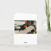 Lorikeet Mitteilungskarten (Rückseite)