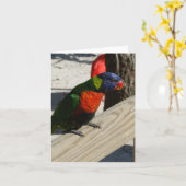 Lorikeet Mitteilungskarten (Gelbe Blume)
