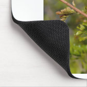 Lorikeet Mousepad (Ecke)