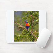 Lorikeet Mousepad (Mit Mouse)
