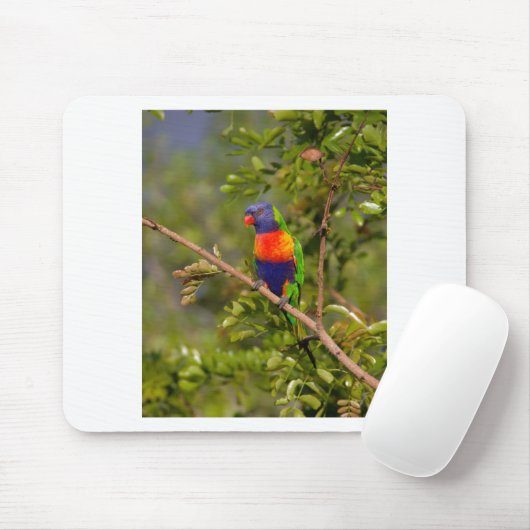 Lorikeet Mousepad (Mit Mouse)