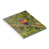 Lorikeet Notizblock (angewinkelt)