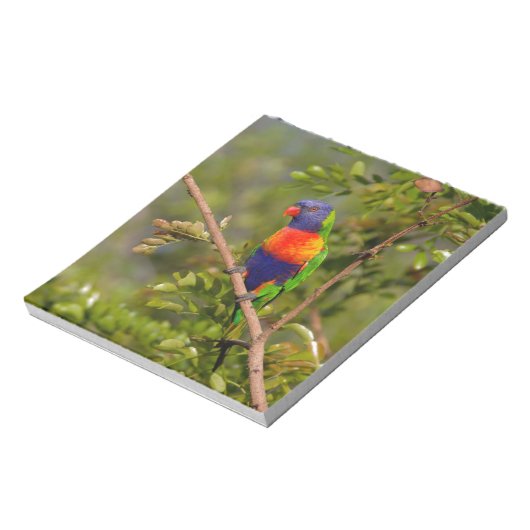 Lorikeet Notizblock (Rotiert)