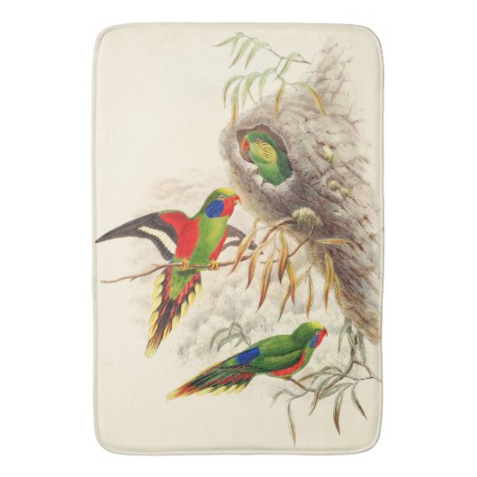 Lorikeet Papageien-Vogel-Tier-Tier-Bad-Matte Badematte (Vorderseite Vertikal)